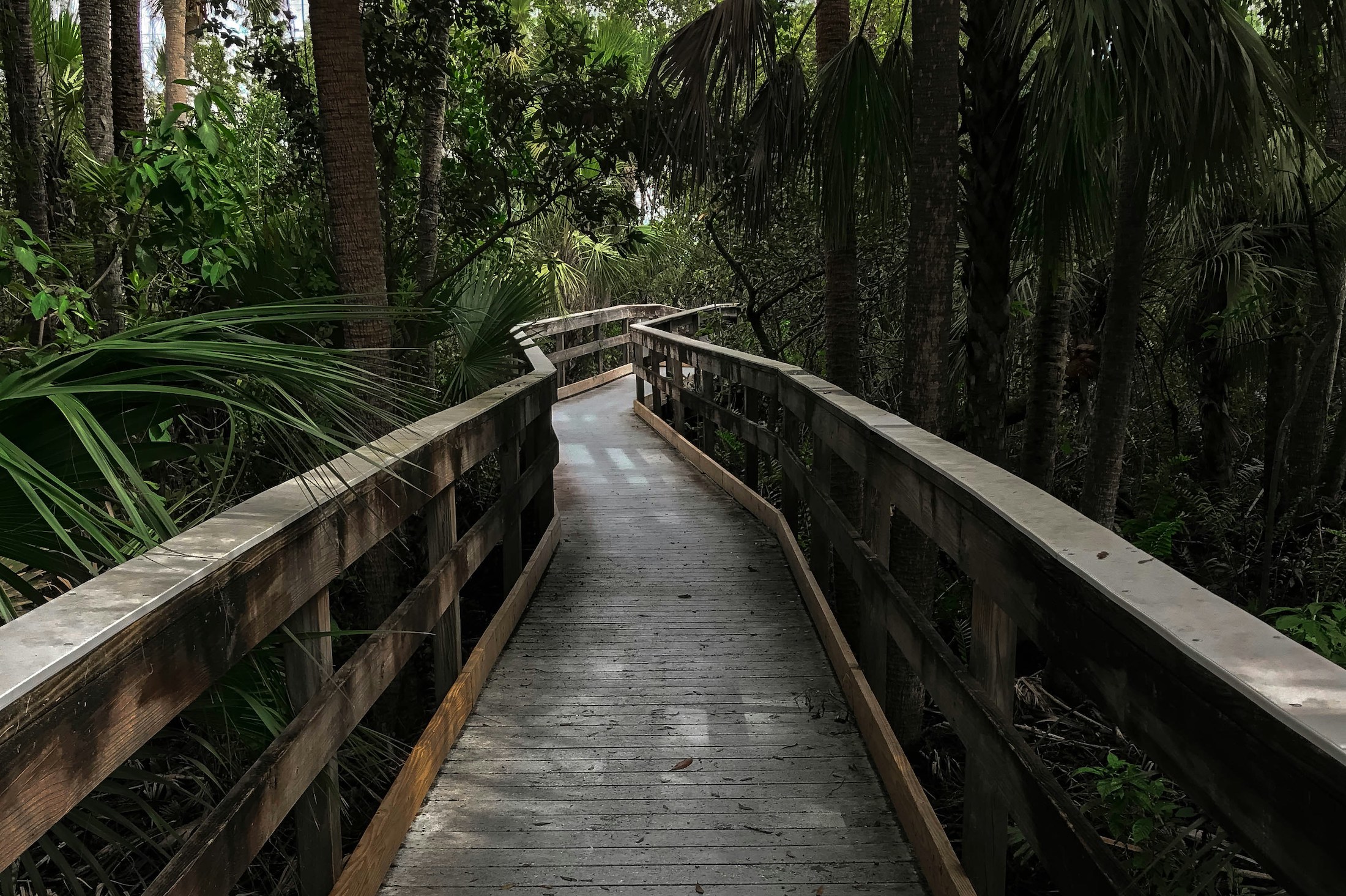 Dickson Azalea Park