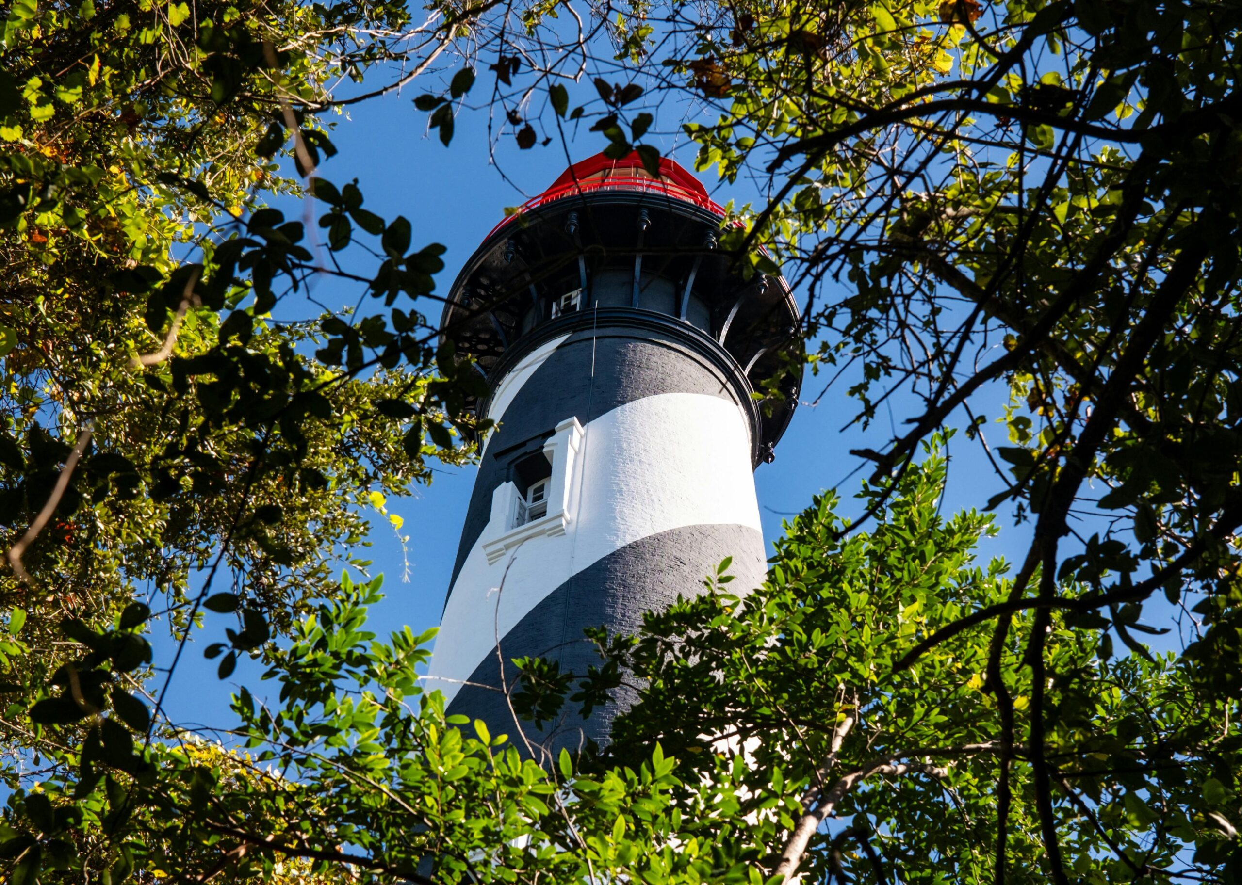 best day trips from orlando